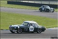 IMG_3086.JPG