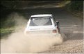 eifel 2010 1004.jpg