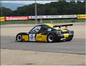 DSC_0175.JPG