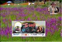 z lacs 2010 234.JPG