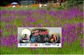 0 Lacs 2010 234LR.JPG