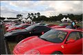MG_5342.JPG