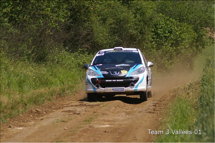 langres 2013 372.JPG