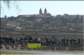 2c Vignes 2019-JP (200).JPG