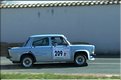 5 Vignes 2019-VHC-JP (13).JPG