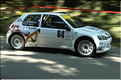 v Bettant 2019-27Thierry Le Cerf-32JP