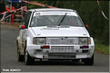 f 2012 Suran_1278 Merle T3V