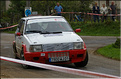 g 2011 Suran 152 Merle T3V