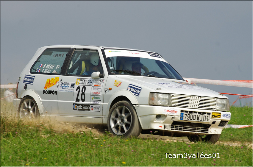 j 2008 Suran 468 Merle