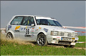 j 2008 Suran 468 Merle
